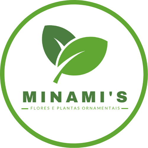 MINAMI'S